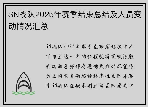 SN战队2025年赛季结束总结及人员变动情况汇总